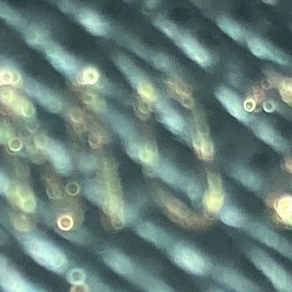 Zippy Wallet Reverse Monogram Giant - image 3